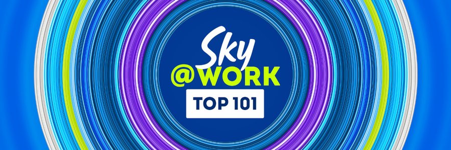 Sky at Work Top 101