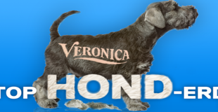 Radio Veronica viert dierendag met Top Hond-erd